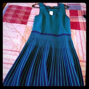 Navy and green sweater dress by Banana Republic